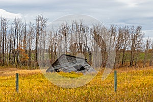 Rustic farm buildings still standing and some have given up. Mountainview County, Alberta, Canada