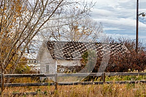 Rustic farm buildings still standing and some have given up. Mountainview County, Alberta, Canada