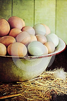 Rustic Farm Raised Eggs