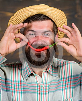 Rustic farmer in straw hat likes spicy taste. Man hold pepper harvest. Bearded farmer hold chilli red pepper in hand