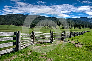 Rustic Fence