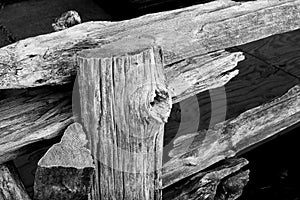 Rustic Fence Black and White