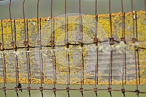 Rustic Fence with colorful moss photo