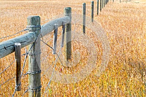 Rustic fence in a field of golden autumn grass in Montana