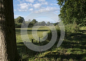 Rustic Fence Through Green Countryside, Usk, Wales