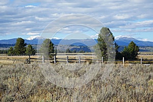 Rustic Fence - Harriman S.P., Idaho