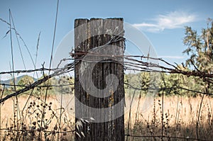 Rustic Fence Post