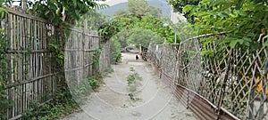 The rustic fences in the Philippines, made from bamboo slats