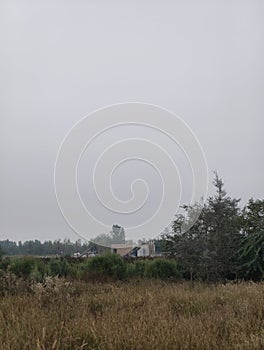 Rustic field with overgrown grass, a distant structure, and a cloudy sky in soft, diffused light