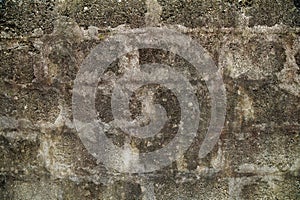 Rustic Fieldstone Wall with Mortar Joints