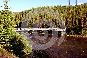 Rustic Foot Bridge - Idaho wilderness photo