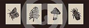 Rustic forest woodcut of folkart mushroom, fern and insect in simple silhouette style vector motif collection. Set of