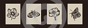 Rustic forest woodcut set of folkart flower and butterfly in simple silhouette style vector motif collection. Set of