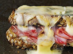 Rustic french sandwich croque monsieur