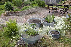 Rustic garden -  fern,  plants in tin tub, herb spiral, chairs and table