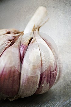 Rustic garlic bulb