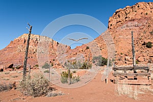 Rustic gate to a ranch leading to a landscape of colorful red rock mesas in the American Southwest