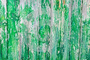 Rustic Green Door Architecture Rusty Desin Style Paint