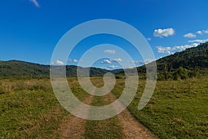 rustic green field nature environment space with dirt path way tracks from car tire and mountain horizon background scenic view in