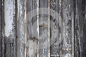 Rustic grey worn board and batten vertical siding background with white paint remnants