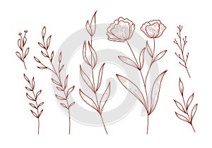 Rustic Hand drawn leaves floral flower isolated clipart illustration Vector