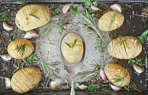 Rustic Hasselback potatoes with herbs, garlic and salt, vegetari