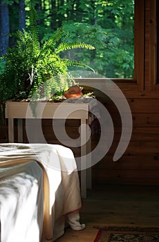 Rustic Home Sleeping Porch