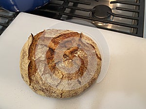 Rustic Homemade Loaf of Bread with Cornmeal Crust