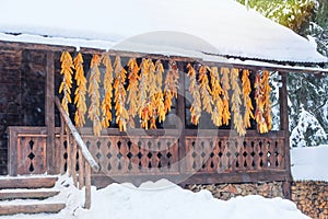 Rustic house in village near the forest. Authentic traditional culture in architecture and life. Old wooden buildings in winter.