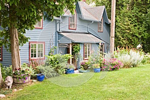 Rustic house in woods