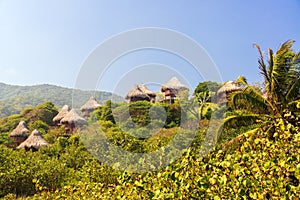 Rustic Huts in the Jungle photo