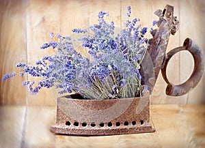 Rustic iron (old iron) and dry lavender