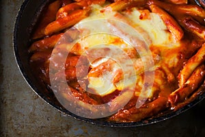 Rustic korean spicy rice cake tteokbokki photo