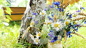 Rustic landscape with simple bouquets of wildflowers. A cute bouquet of daisies, chamomile, cornflowers and ears of wheat in a