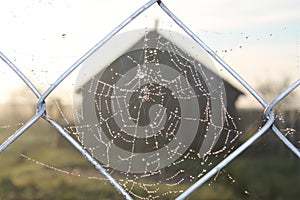 Rustic landscape, spider web in the fog photo
