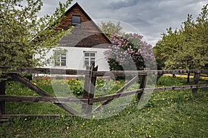 Rustic landscape in spring, small village house