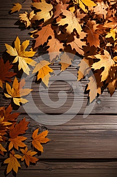 Rustic Leaf Borders Fall-inspired Frame Elements Leafy Border Graphics, Fall-inspired Frame Elements
