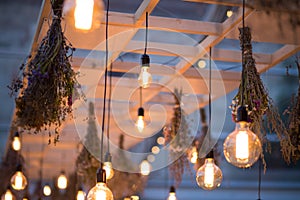 Rustic light bulb garden lights