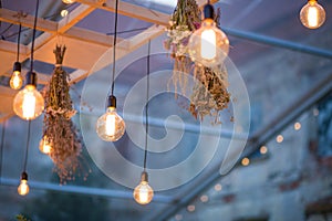 Rustic light bulb garden lights
