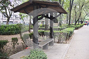 Rustic log bench with roof surrounded by bushes in park from Mexico City