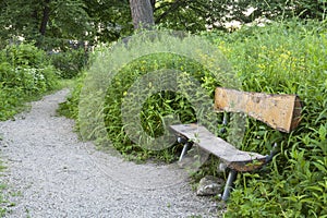 A Rustic Log Bench on a Winding Grassy Path