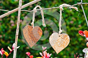 Rustic Love in the Garden