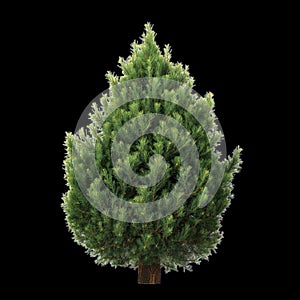 Rustic Mailbox With Open Flap Showing Several Letters Inside During Bright Daylight