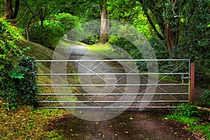 Rustic metal country gate