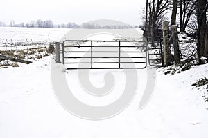 Rustic metal gate and fence locked by the entrance of a vast snow covered farm field in winter