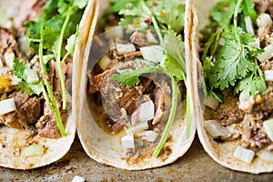 Rustic mexican american pork carnitas taco