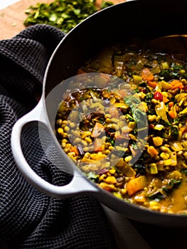 Rustic mung bean dahl curry in natural light