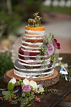 Rustic `Naked` Wedding Cake