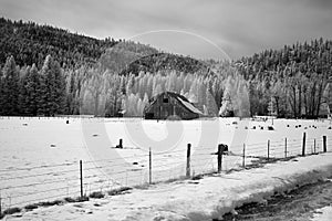 Rustic old barn in a snowy winter landscape with copy space.