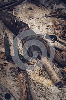 Rustic old gardening tools on texture